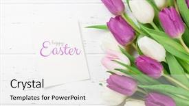  Presentation with white easter lily flowers - Audience pleasing PPT theme consisting of easter greeting card with tulip backdrop and a white colored foreground