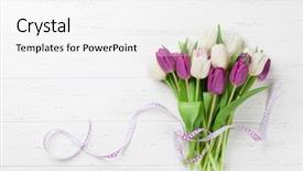  Presentation with greeting card - PPT layouts with easter greeting card with tulip background and a white colored foreground