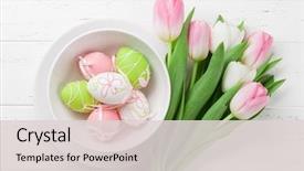  Presentation with greeting card - Slide set enhanced with easter greeting card with tulip background and a light gray colored foreground