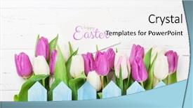  Presentation with happy birthday mama greeting card - Amazing PPT theme having easter greeting card with tulip backdrop and a white colored foreground