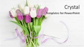  Presentation with white easter lily flowers - Slide set consisting of easter greeting card with tulip background and a white colored foreground