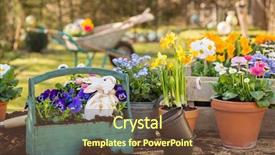  Presentation with home garden - Colorful presentation theme enhanced with easter handmade decoration with spring flowers and bunny at home in the garden backdrop and a tawny brown colored foreground