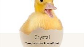  Presentation with broken egg - Presentation featuring easter-image-of-a-funny background and a lemonade colored foreground