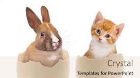  Presentation with broken egg - PPT theme consisting of easter-image-of-a-sweet background and a lemonade colored foreground