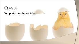  Presentation with broken egg - PPT theme featuring easter-image-of-two-open background and a white colored foreground