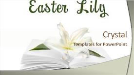  Presentation with easter lily - Beautiful PPT theme featuring easter lily and holy bible backdrop and a cream colored foreground