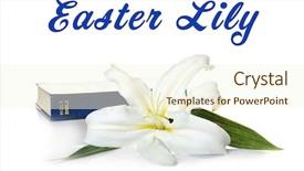  Presentation with easter lily - Presentation theme enhanced with easter lily and holy bible background and a cream colored foreground