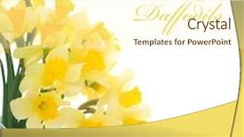  Presentation with border - Amazing PPT theme having daffodils border backdrop and a cream colored foreground