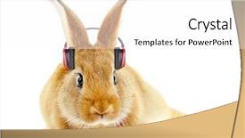  Presentation with headphones - Theme featuring easter music - red rabbit with headphones isolated background and a white colored foreground