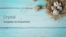  Presentation with bird eggs - Colorful slide set enhanced with easter-quail-eggs-and-bird backdrop and a sky blue colored foreground