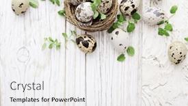  Presentation with quail - Theme consisting of easter-quail-eggs-and-flowers background and a white colored foreground