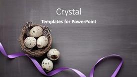  Presentation with bird eggs - Beautiful PPT layouts featuring easter-quail-eggs-and-ribbon backdrop and a gray colored foreground