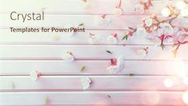  Presentation with border pink - Slides featuring easter-spring-blossom-on-white background and a cream colored foreground