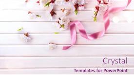  Presentation with pink satin - Cool new slide deck with easter-spring-blossom-on-white backdrop and a sky blue colored foreground