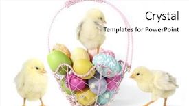  Presentation with chicks - Cool new PPT theme with easter themed image with baby backdrop and a  colored foreground