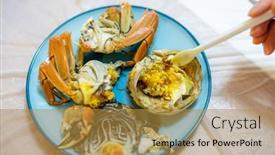  Presentation with crab - PPT theme featuring eat-chinese-hairy-crab background and a gold colored foreground