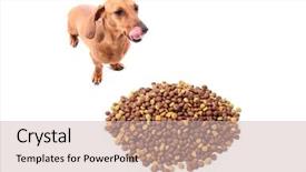  Presentation with food white - Slide deck having at a boutique hotel background and a tawny brown colored foreground.