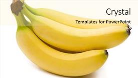  Presentation with bunch - Slide set consisting of eatable - bunch of bananas isolated background and a blonde colored foreground