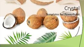  Presentation with palm leaves - Cool new slides with eatable - set of coconut pieces palm backdrop and a lemonade colored foreground