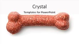  Presentation with dogs - Beautiful PPT theme featuring eatable - top view of dogs dental backdrop and a sky blue colored foreground