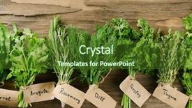  Presentation with herbs - Presentation theme featuring eating clean - different fresh herbs on wooden background and a tawny brown colored foreground