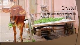  Presentation with ancient india palace in jaipur - Slides having eating clover in a pink background and a lemonade colored foreground
