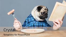  Presentation with sausages - PPT layouts featuring eating sausages and reading book background and a soft green colored foreground