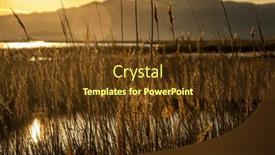  Presentation with wetland - Presentation design enhanced with ebro-delta-is-a-unique background and a tawny brown colored foreground