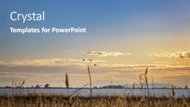  Presentation with wetland - PPT layouts having ebro-delta-is-a-unique background and a teal colored foreground