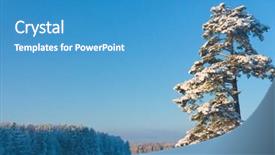  Presentation with nature community - Presentation featuring ecco park - frozen nature nobody here background and a  colored foreground