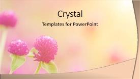  Presentation with purple flowers - Cool new slide set with ecco park - here are beautiful purple flowers backdrop and a lemonade colored foreground