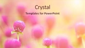  Presentation with purple flowers - Audience pleasing theme consisting of ecco park - here are beautiful purple flowers backdrop and a lemonade colored foreground