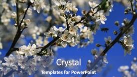  Presentation with kilroy was here - Slide set with ecco park - last is spring here background and a ocean colored foreground