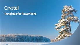  Presentation with nature of management - Theme having ecco park - nobody here frozen nature background and a  colored foreground