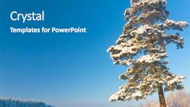  Presentation with kilroy was here - Beautiful PPT theme featuring ecco park - nobody here icy spruce backdrop and a  colored foreground