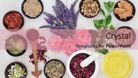  Presentation with echinacea - Theme having echinacea - body and skin care treatment background and a coral colored foreground