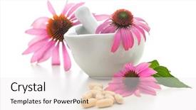  Presentation with alternative medicine - PPT theme having echinacea - healing herbs and mortar alternative background and a white colored foreground
