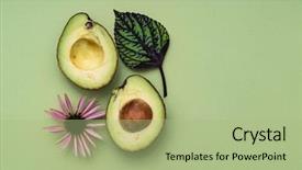  Presentation with natural cosmetic - Cool new PPT layouts with echinacea - ingredient for natural cosmetic backdrop and a mint green colored foreground