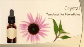  Presentation with herbal medicine - Slide deck featuring echinacea-alternative-herbal-medicine background and a cream colored foreground