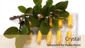  Presentation with herbal medicine - Audience pleasing PPT theme consisting of echinacea antibiotics - herbal medicine isolated on white backdrop and a yellow colored foreground