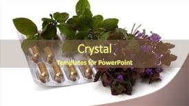  Presentation with herbal medicine - PPT theme with echinacea antibiotics - herbal medicine isolated on white background and a tawny brown colored foreground