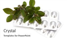  Presentation with herbal medicine - Cool new presentation with echinacea antibiotics - herbal medicine isolated on white backdrop and a white colored foreground