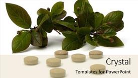  Presentation with herbal medicine - PPT theme consisting of echinacea antibiotics - herbal medicine isolated on white background and a lemonade colored foreground