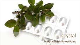  Presentation with echinacea - Colorful PPT layouts enhanced with echinacea antibiotics - herbal medicine isolated on white backdrop and a cream colored foreground