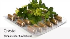  Presentation with herbal medicine - Amazing presentation theme having echinacea antibiotics - herbal medicine isolated on white backdrop and a white colored foreground