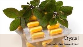  Presentation with herbal medicine - Presentation theme with echinacea antibiotics - herbal medicine isolated on white background and a yellow colored foreground