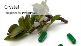  Presentation with echinacea - PPT layouts enhanced with echinacea antibiotics - herbal medicine isolated on white background and a  colored foreground