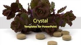  Presentation with herbal medicine - Beautiful PPT layouts featuring echinacea antibiotics - herbal medicine isolated on white backdrop and a  colored foreground