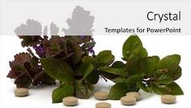  Presentation with herbal medicine - Beautiful slides featuring echinacea antibiotics - herbal medicine isolated on white backdrop and a white colored foreground