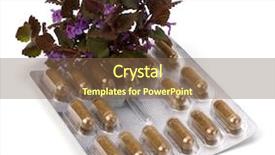  Presentation with herbal medicine - Presentation theme having echinacea antibiotics - herbal medicine isolated on white background and a  colored foreground